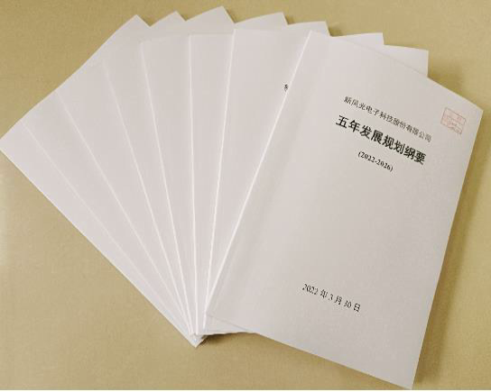 多米官方网页版公司《五年发展规划纲要》（2022-2026）公布.png