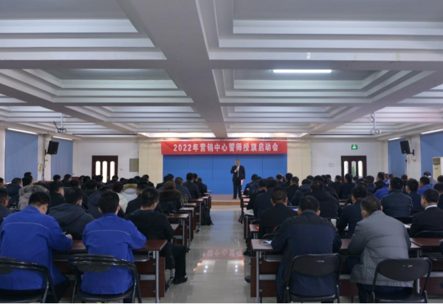 多米官方网页版营销中心授旗宣誓大会圆满召开