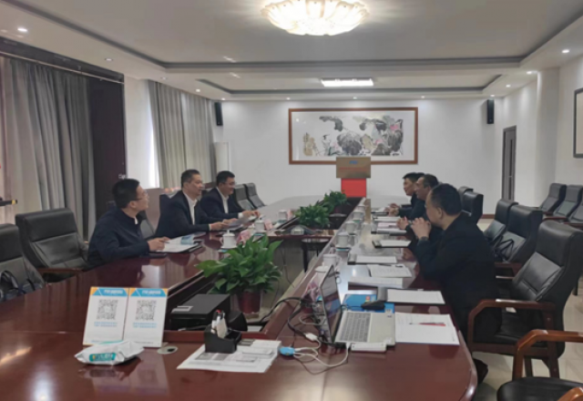 乐江华到多米官方网页版公司调研指导工作