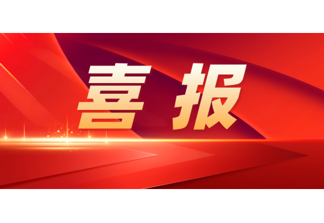多米官方网页版 | 公司入选国家级专精特新“小巨人”企业名单