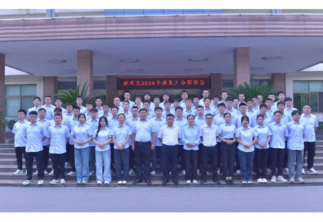 多米官方网页版：以人为本，激发人才创新活力