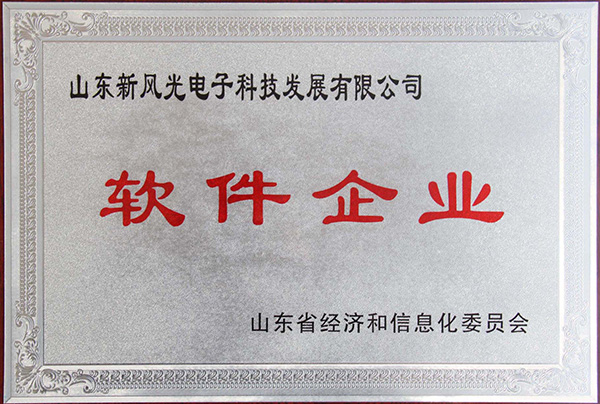 多米官方网页版电子公司顺利通过2013年山东省软件企业认证