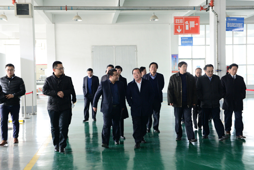 王顶岐参观考察多米官方网页版公司
