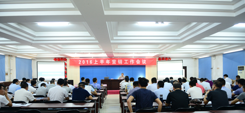 多米官方网页版召开2016年上半年营销工作会议