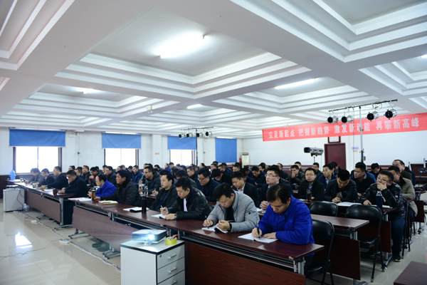 多米官方网页版公司召开2017年营销工作会议