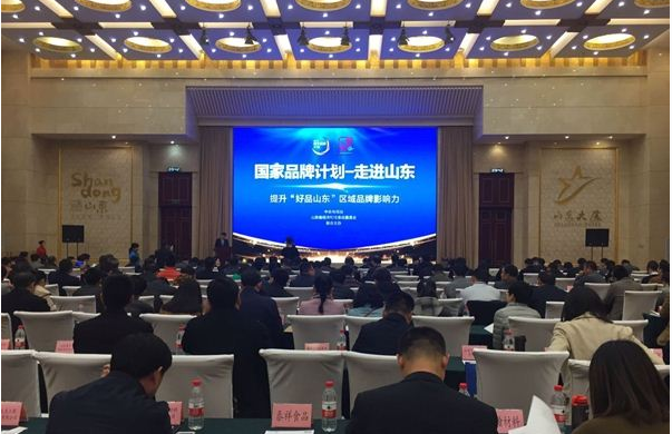 多米官方网页版应邀参加央视“国家品牌计划”走进山东活动